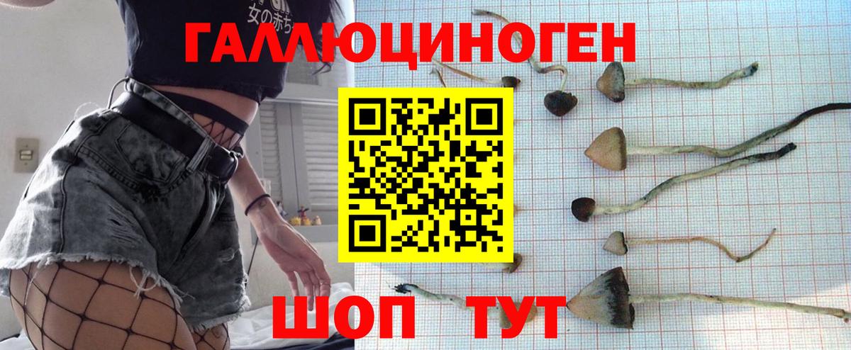 Камышин  Галлюциногенные грибы мицелий  Вход с VPN 