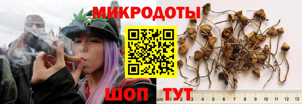 Галлюциногенные грибы прущие грибы Камышин